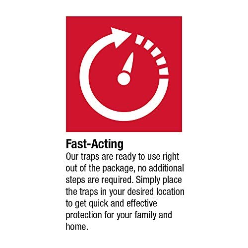 Catchmaster Fly Ribbon 20Pk, Bug & Fly Traps For Indoors And Outdoors, Premium Sticky Adhesive Fruit Fly & Gnat Hanging Strips, Bulk Scented Flying Insect Paper Rolls, Non Toxic Pest Control For Home #TOP5