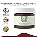 Vet Grade Horse Wellness Paste for Skin Anomalies | 2oz All-Natural Formula | Equine & Livestock Care