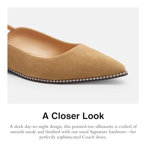Coach Women's VAE Suede Skimmer Ballet Flat4