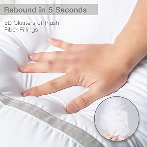 BedStory 2 Pack Sleeping Pillows, Hotel Pillow Down Alternative Dust Mite Resistant&Hypoallergenic Standard Bed Pillow for Neck/Shoulder Pain Back Stomach/Side Sleeper (Non-Removable Cover, Standard)