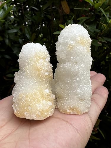 Image of GAF TREASURES Chalcedony & Crystal Quartz Stalactite 3-8 inch, Natural Quartz on Chalcedony Stalactite Specimen (0.25-0.5 lb)
