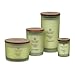Chesapeake Bay Candle Scented Candle, Simplicity + Hope (Mint Basil), Large