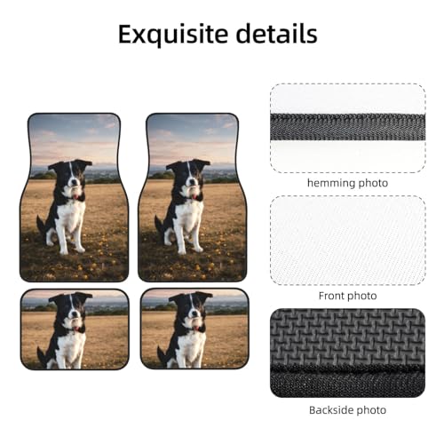 Alfombrillas de coche antideslizantes de perros para evitar suciedad en furgonetas 5