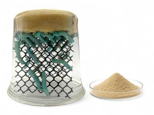 Premium Hornworm Habitat - 26-35+ Count per Cup | Nutrient-Rich Feed for Bearded Dragons, Geckos & Other Reptiles | Free 1oz Powdered Chow Included