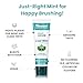 Himalaya Botanique Kids Toothpaste, Cool Mint, Fluoride-Free, Gentle, No Artificial Colors, SLS Free, Gluten Free, Cruelty Free, Vegan, Foaming, 4 Oz, 1 Pack…
