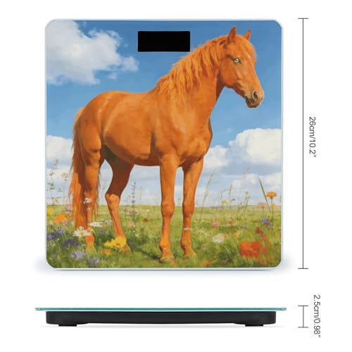 Báscula digital Orange Horse con pantalla LCD grande miniatura 2