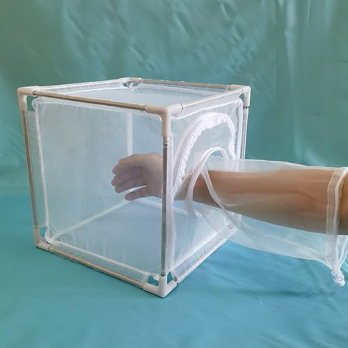Cage d'observation de la mouche avec structure stable en filet de nylon