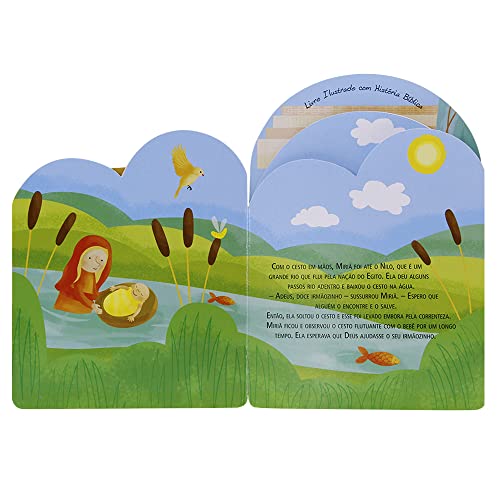 Kit com 4 Livros: Amigos do Criador!