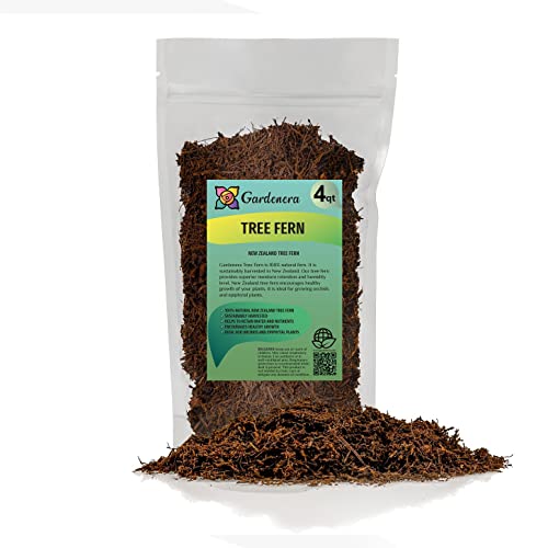 Premium New Zealand Tree Fern by GARDENERA - Orchid and Epiphytal Plants Growing Medium and Reptile Substrate - 4 Quart Bag