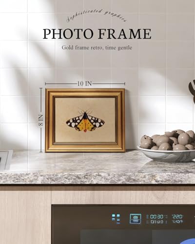 Image of VIYYIEA Vintage Gold Framed Wall Art for Living Room, Arctia Caja Canvas Prints Home Decor, Oil Painting Picture, Bedroom Wall Decor Gifts for Friends or Family -【Arctia Caja】-(10L x 8W)