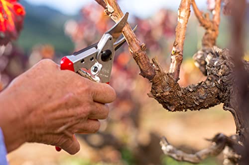 Felco Pruning Shears (F 6) - High Performance Swiss Made One-Hand Garden Pruners - 100052385 #TOP3