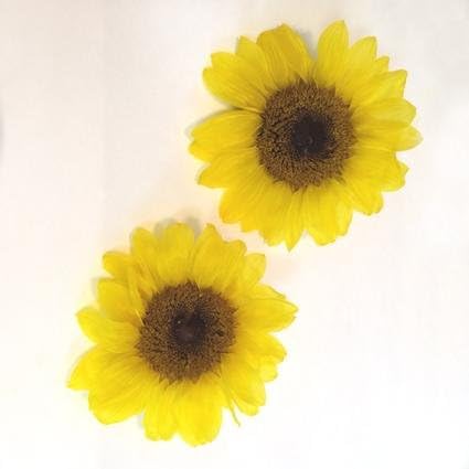 Amazon ヒマワリ ２輪 オフ プリザーブドフラワー ひまわり 花材 プリザーブドフラワー オンライン通販
