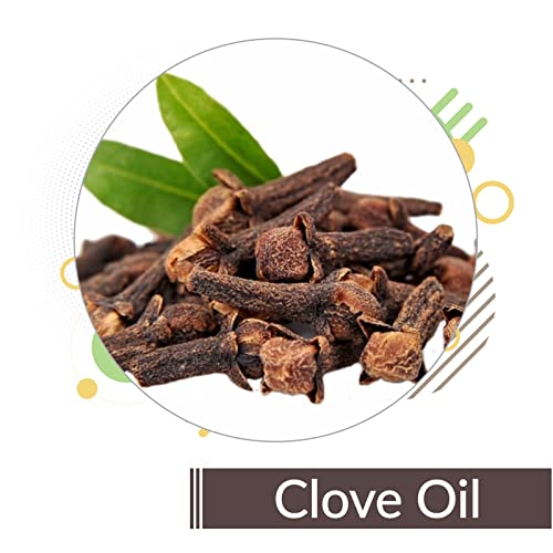 Image of B-URBAN Clove (Syzygium Aromaticum) Oil|100% Pure & Natural Undiluted Essential Oil Organic Standard For Skin & Haircare|Calming Properties, Eases Headaches, Reduces Aging Signs,Pain-Reliever-100ML