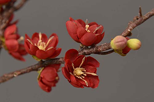 SXLWW Fiori Artificiali Respiro del Bambino Fiore Falso Plum Pianta Wedding Bouquet Casa della Decorazione di DIY 6PCS,A - Image 3