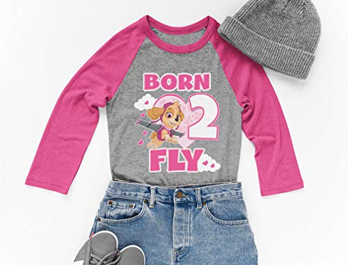 Tstars Paw Patrol Skye Born 2 Fly 2nd Birthday 3/4 Sleeve Baseball Jersey Toddler Shirt3
