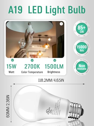 Image of 3 Pack LED Light Bulbs 100 Watt Equivalent, A19 5000K Daylight White | 15W Super Bright White Light 1500 LM, E26 Standard No Flicker Energy Saving Lamp Bulb for Home, Bedroom, Office, Non-Dimmable