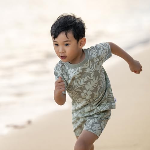 Image of Gerber Baby Boys' Toddler T-shirt and Short Set
