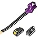 Exmate Soffiatore Elettrico con Batteria ,20V 2,0 Ah Senza Fili Velocità Soffiaggio Regolabile Soffiatore con Carica Rapida, per Giardino Pulizia Foglie e Polvere