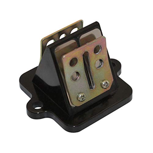 P2R Clapet Adaptable Scooter Peugeot 50 Ludix Blaster, Jet Force, Speedfight 3 - Valve en Métal Acier Inoxydable - EN 1074-1, EN 10204 - Vérin Anti-Retour