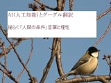 AI（人工知能）とグーグル翻訳　揺らぐ「人間の条件」言葉と理性