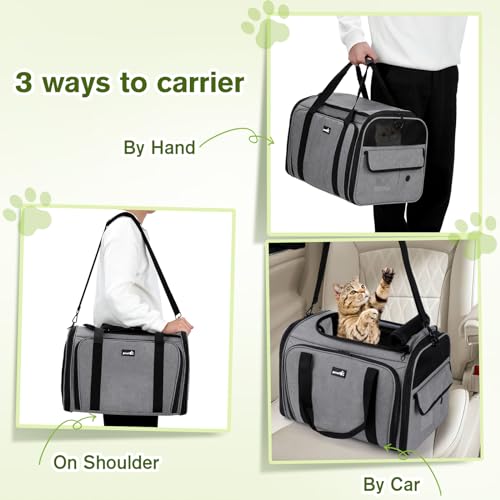 Pecute Katzentransportbox Transportbox Katze Groß, 48x33x34cm Erweiterbar Katzenbox für 2 Katzen Hund Welpen, Flugzeug Faltbar Hundetransportbox Zusammenklappbare Transporttasche Katze Transport