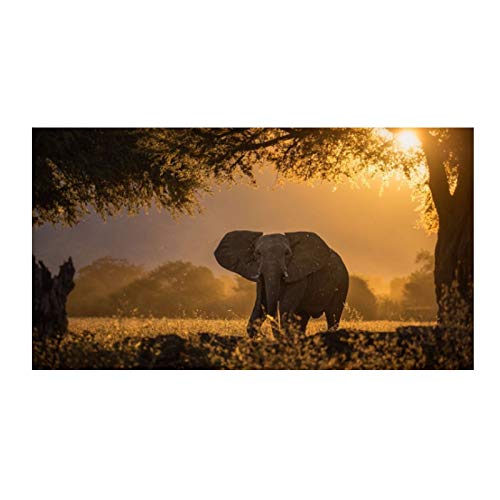 Diamant painting éléphant grand format 70x120cm kit complet broderie mosaïque strass rond carré