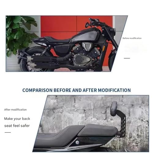 Coussin passager SRV600 QJMOTOR avec dossier et sissy bar de modification - 4
