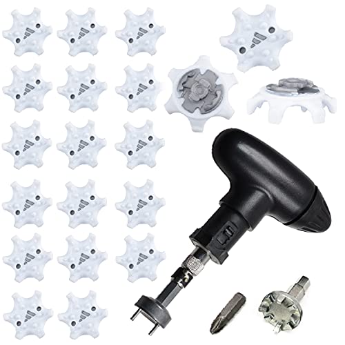 dodtazz pStV[Y XpCNe \tgXpCN nh`t (XpCN^20Zbg)