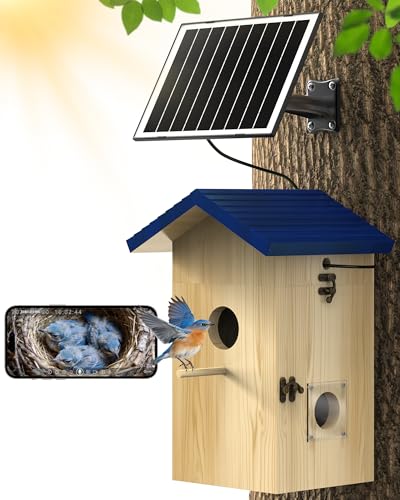 KinetCam Bird House with Camera Solar Powered, 2K HD Wi-Fi Bird Watching Cam for Birdhouse, Auto Detect & Notify, Night Vision, APP Control, Wooden Birdhouse with Camera Inside(Blue)
