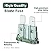 AMZAUTO 25 PCS Car Fuses Assortment Kit, 1 Amp Automotive Standard Blade Type Fuse (ATO/ATC), for Car, RV, Truck, SUV, Camper, Motorcycle, Boat (Green)