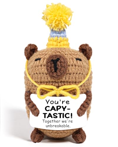AICase Positive Capy Crochet Animals Graduation Gifts Fathers Day Dad Gifts from Daughter Son Wife...