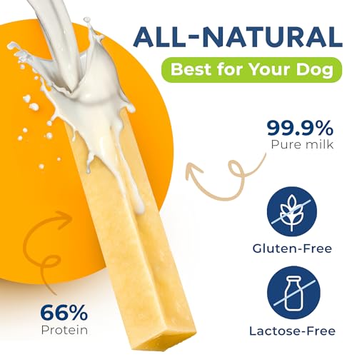 CHEWSTER Käsestangen für Hunde - Kaukäse Hundeknochen - Langer Kauspaß aus natürlicher Milch - Käse-Kauknochen (136 g, S, 4er Pack)