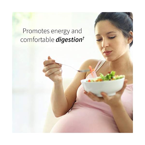 Garden-of-Life-Prenatal-Vitamins-mykind-Organics-Prenatal-Multi-90-Tablets-Vegan-Whole-Food-Multivitamin-Folate-not-Folic-Acid-Stomach-Soothing-Blend-Organic-Prenatals-Supplements-for-Women Women’s Prenatal Multivitamin with Vitamin D3, B6, B12, C & Iron, Folate for Energy & Healthy Fetal Development – Garden of Life Organics – Organic, Non-GMO, Gluten-Free, Vegan, 30 Day Supply