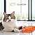 Aibuddy Catnip Toy, 2 Pack Plush Cat Toys with Jingly Bell, Bite Resistant Chew Toys, Catnip Filled Cartoon Cat Teething Chew Toy for Medium and large cats