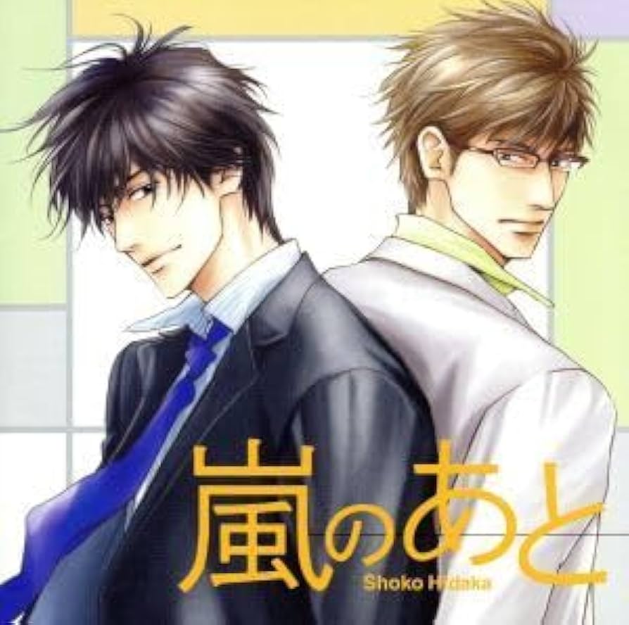 ドラマCD　嵐のあと　特典付き　森川智之　中村悠一　BLCD　日高ショーコ Amazon.co.jp: ドラマCD 嵐のあとドラマCD,森川智之,中村悠一