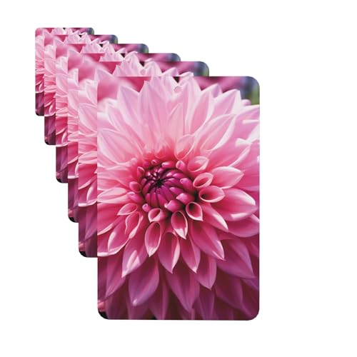 Ambientadores para coche, juego de 6 tarjetas aromáticas...