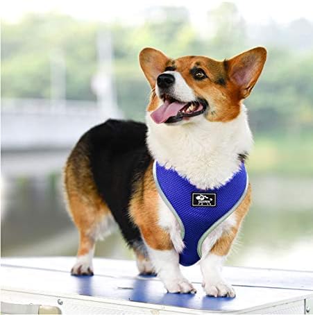 Miniatura 6 de Onlylover Juego de arnés y correa para cachorros, malla suave transpirable de cuerpo completo, arnés para perros pequeños y medianos, ajustable,