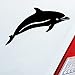Hellweg Druckerei Autocollant pour pare-brise arrière de voiture Motif dauphin poisson