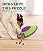 Outward Hound by Nina Ottosson Dog Treat Maze Dog Puzzle Enrichment Toy, Level 2 Intermediate, Green