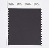 Pantone Cotton Swatch Card Color Standard, Color # 19-3916, Charcoal Art