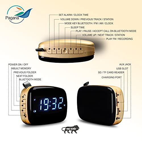 Image of PAGARIA Portable Radio & Alarm Clock Bluetooth Speaker with Remote /Alarm /USB /am /FM /SD Card /AUX /Bluetooth Recording /mic Recording. (Blue, Standard - SAN101)