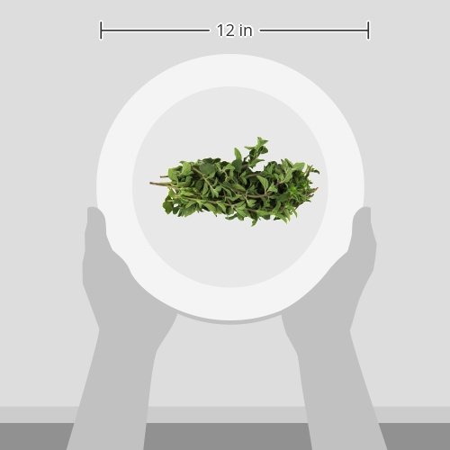 Organic Oregano, 0.75 oz Clamshell
