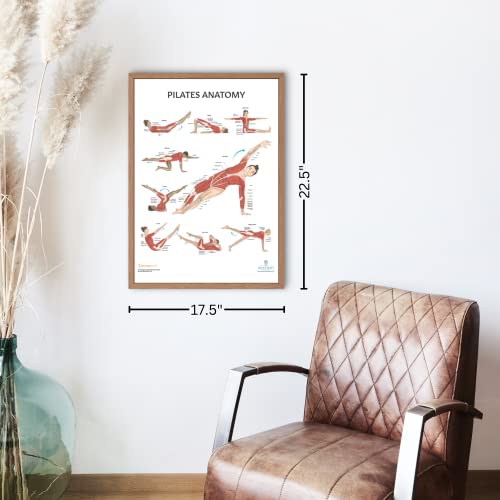 Image of Anatomy Lab Stretching and Pilates Anatomy Posters Set | 2 PACK LAMINATED, 17.3 x 22.5 Inches, Body Chart