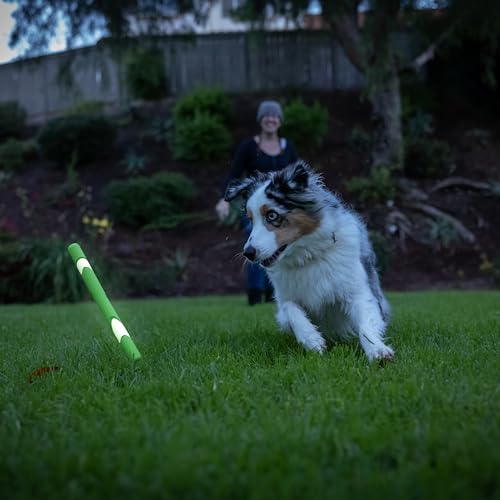 Chuckit! - Max Glow Ultra Fetch - Phosphoreszierender Stock für Hunde - Robuster und langlebiger Stock für Hunde - Leuchtet im Dunkeln - Einheitsgröße - Durchmesser 28 x 3 x 2.5 cm