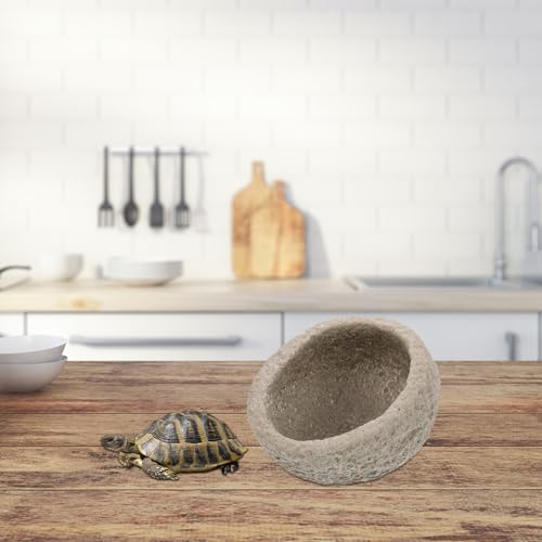 Mangeoire à lézards et accessoires de terrarium : 2 bols d'eau - 5