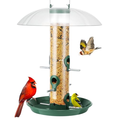 Kingsyard Metal Bird Feeder with Dome & Tray, 3 lb Capacity