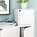Way Basics Eco Stackable Connect organizer do przechowywania kostek z drzwiczkami, biały (montaż bez użycia narzędzi i wyjątkowe wykonanie z trwałego, nietoksycznego kartonu)