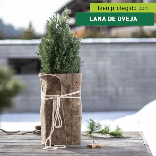 Miniatura 2 de Windhager 6040 - Ovejas Fieltro De Lana De Fieltro, 2 X 0,38 M, Gris