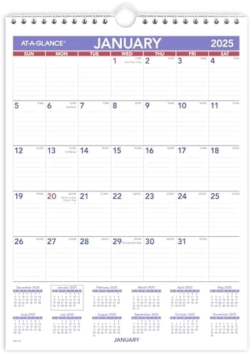 Amazon.com: AT-A-GLANCE 2025 Wall Calendar, 8
