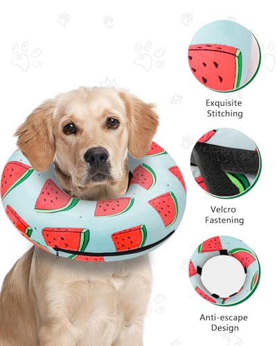 Image of MIDOG Inflatable Dog Cone Alternative for After Surgery - Soft Protective Donut Collar Prevents Licking, Comfortable Recovery E-Collar Alternative for Small Medium Large Dogs (Watermelon,XL)